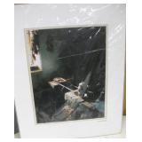 Photo - Inside Mission In San Antonio, CA