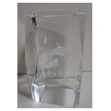 Tourist Laser Etched Dolphin Scene Art Glass