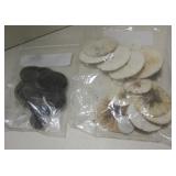 Various Black & White Shell Dollars