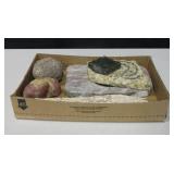 Various Raw Minerals, Petrified Wood & Geode