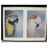 1995 Framed Asti & Parrot Bird Art Prints by Oneta