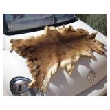 41" x 32" Animal Hide, Likely Deer