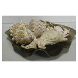 Brass Shell w/ 4 Seashells