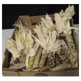Lot of Various Sized Dried Corn