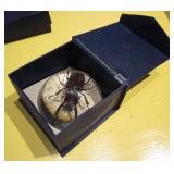 3.25" Dia. Beetle In Lucite w/ Presentation Box