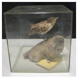 Dwight A. Nesmith Drift Wood & Seeds Bird Figure