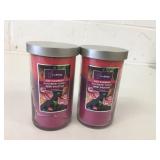 2 TrueLiving Tri Berry Scented Pillar Candle
