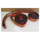 Lifting Straps 2 1/2" x 10 feet x 2