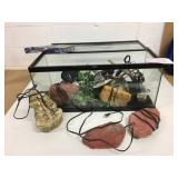 Lizard Tank, Heat Rocks & Lamps, Food & Water Dish