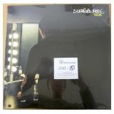 Sleaford Mods T.C.R. Record