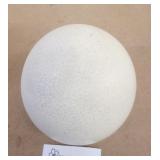 Ostrich Egg