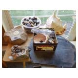 Shells, River Rocks, Stone & Slate Shells, River Rocks, Stone & Slate