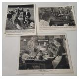 Promo Photos - Dinosaurs, Woman Obsessed Etc.