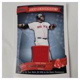 Topps Performance David Ortiz Patch Card