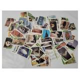 1992 Panini Wildlife In Danger Cards