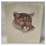 Cougar Watercolor Art Print By Saltiel
