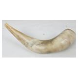10' Cow Horn