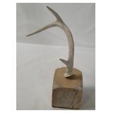 Antler Decor On Wooden Base