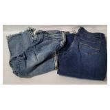 2 Womens Pants W/ Tags Size 16 - Time& Tru, Fable