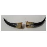 2 Cow Horn Decor Pieces