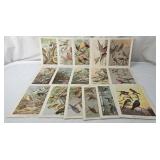 W.J. Breckenridge Bird Portraits In Color 8.5x7
