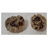 Agatized Coral Geode Pair