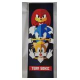 Team Sonic 36x12 Canvas Artwork