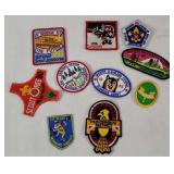 10 Assorted Boy Scouts Patches