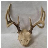 Deer Antlers Decor