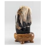 Fossilized Wood Striped Scholar