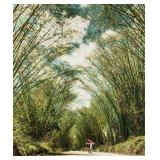 Mixed Media on Board Landscape Signed Packer