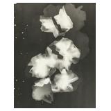 Lee Miller American Modernist Photogram on Paper