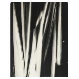 Laszlo Moholy-Nagy Hungarian Modernist Photogram