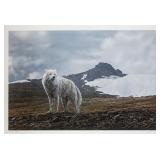 Terry A. Issac 1958-2019 US Signed Litho 628/950