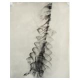 Man Ray American Modernist Photogram on Paper