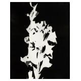 Gyorgy Kepes Hungarian Modernist Photogram Paper