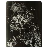 Photogram on Paper Signed Theodore J. Roszak