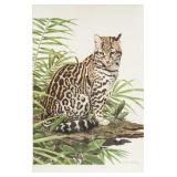 Axel Amuchastegui 1921-2002 Argentinian Vintage