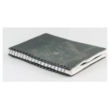 Rino Lacambra Philippines-Canadian XX Sketchbook