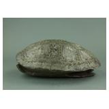 Chinese Archaic Oracle Turtle Shell