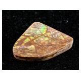 Genuine Ammolite Gemstone RV $300