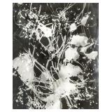 ROGER CATHERINEAU France 1925-1962 Photogram Signe