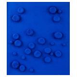 YVES KLEIN French 1928-1962 Mixed Media