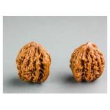 2 PC Chinese Old Natural Walnut