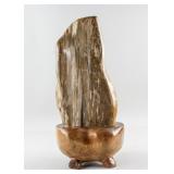 Wood Fossil Scholar