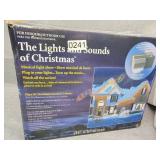 Christmas light show