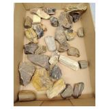 Petrified wood