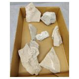 Fossils