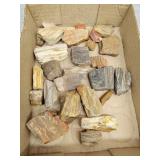 Petrified wood