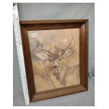 Deer print 1978